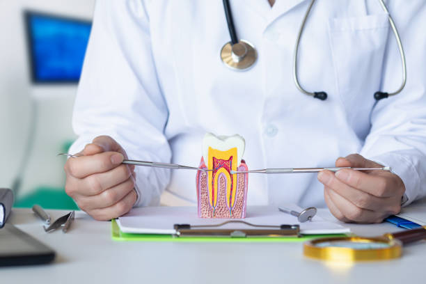 Best Emergency Treatment for Dental Infections or Abscesses in Newington Forest, VA
